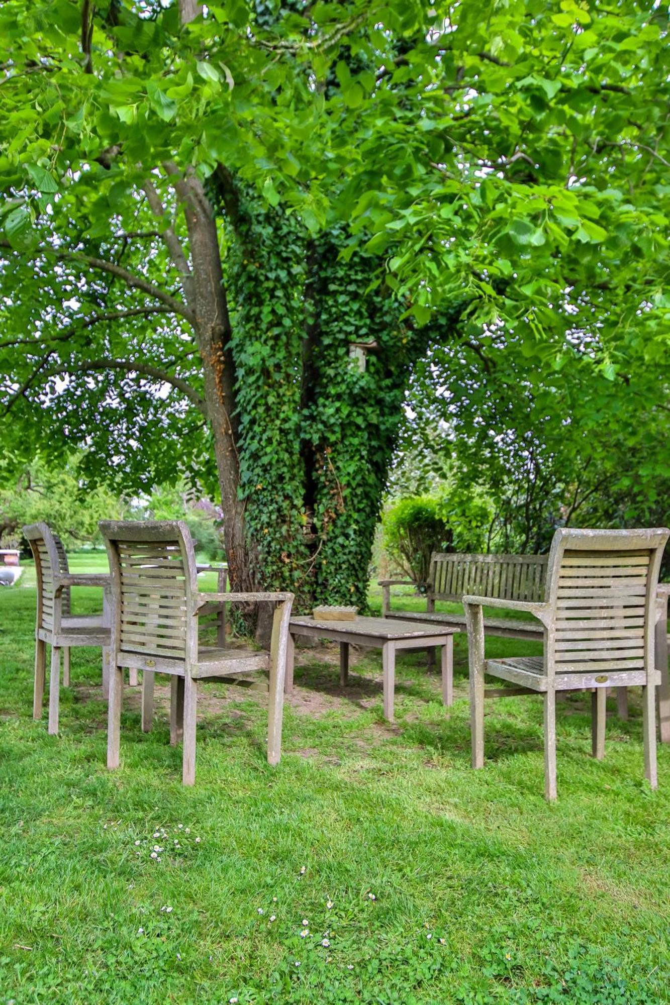 Domaine D'Aromm - Chambres D'Hotes & Gites - Piscine, Etangs & Animaux - Au Calme Ouches Экстерьер фото