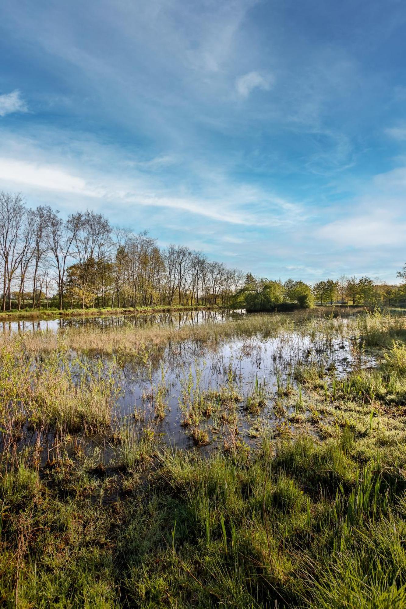 Domaine D'Aromm - Chambres D'Hotes & Gites - Piscine, Etangs & Animaux - Au Calme Ouches Экстерьер фото