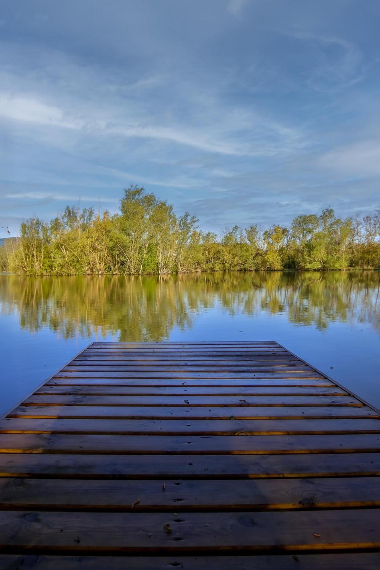Domaine D'Aromm - Chambres D'Hotes & Gites - Piscine, Etangs & Animaux - Au Calme Ouches Экстерьер фото